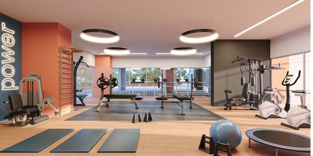 Renaissance Conceito.25